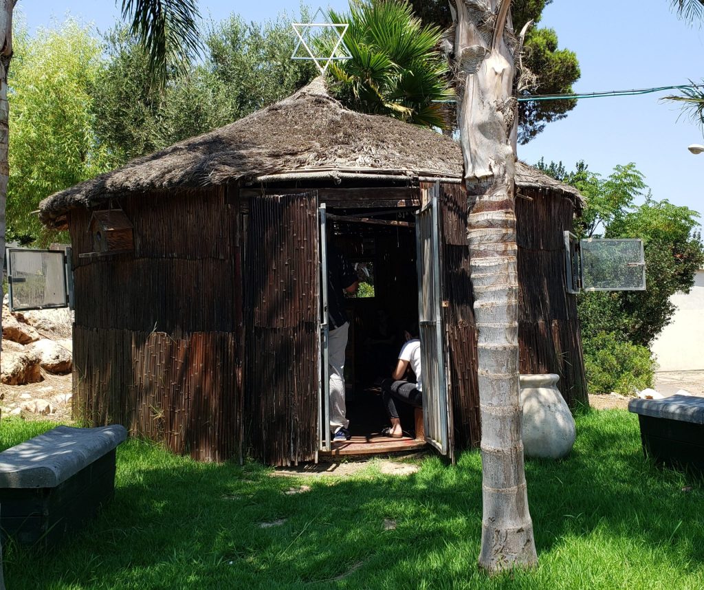 גודג'ו ימין אורד