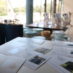 מובילי דר"ך